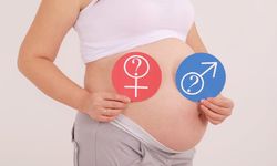 Фото: Нужна суррогатная мама